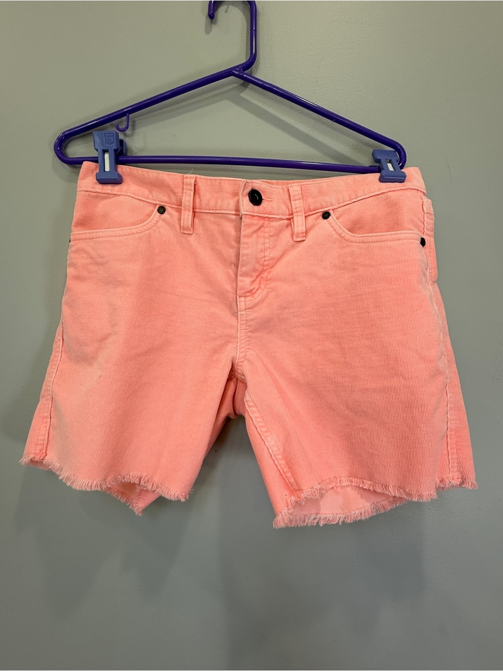 Carve Designs Coral Frayed Hem Jean Shorts